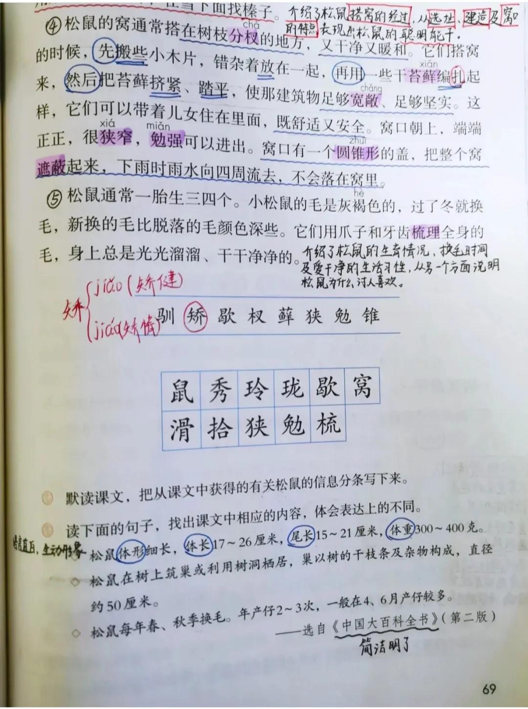 关于松鼠的美文