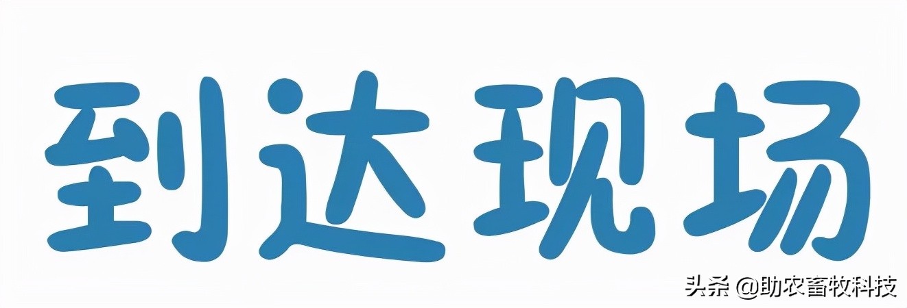 猪场如何进行非洲猪瘟排查？这几张图简单明了，值得收藏