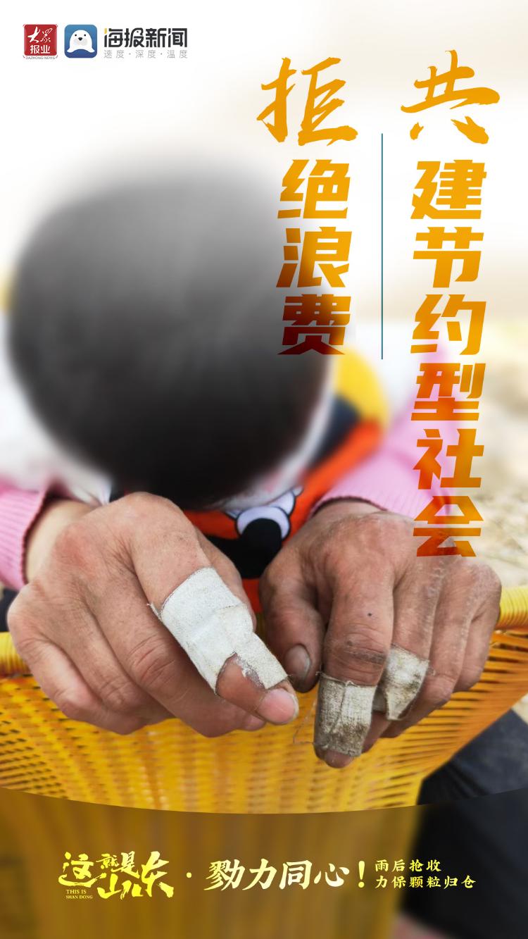 这就是山东丨勠力同心！雨后抢收力保颗粒归仓
