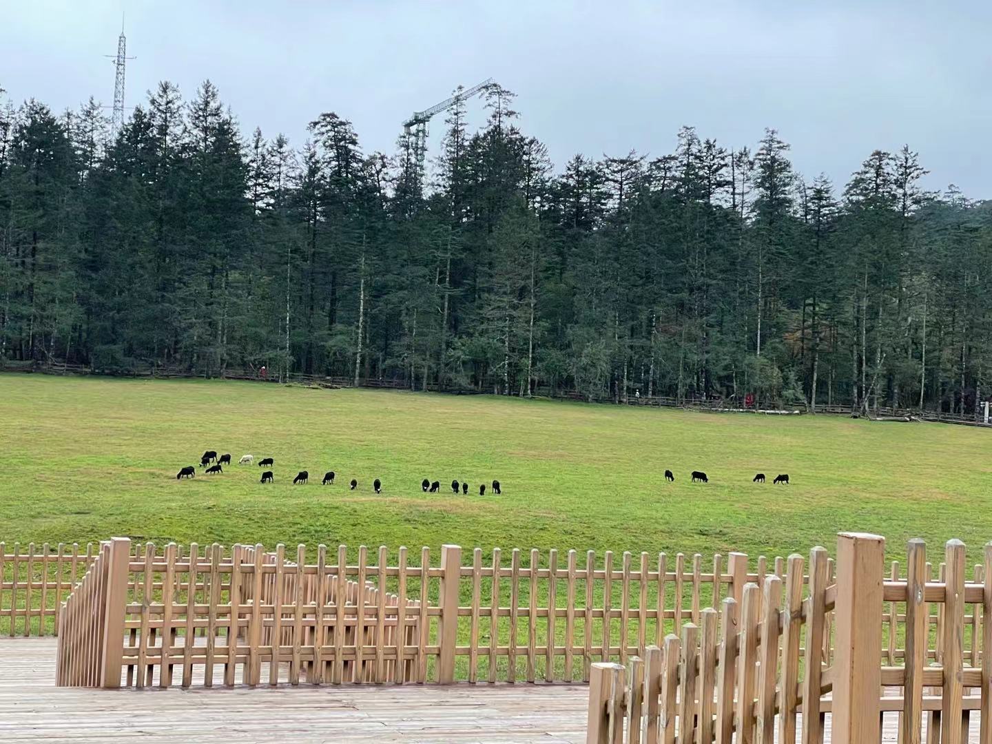 玉龙雪山山麓的蓝月谷，是蔚蓝天空送给丽江的永恒印记