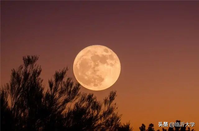 阴晴圆缺都休说，且喜人间好时节