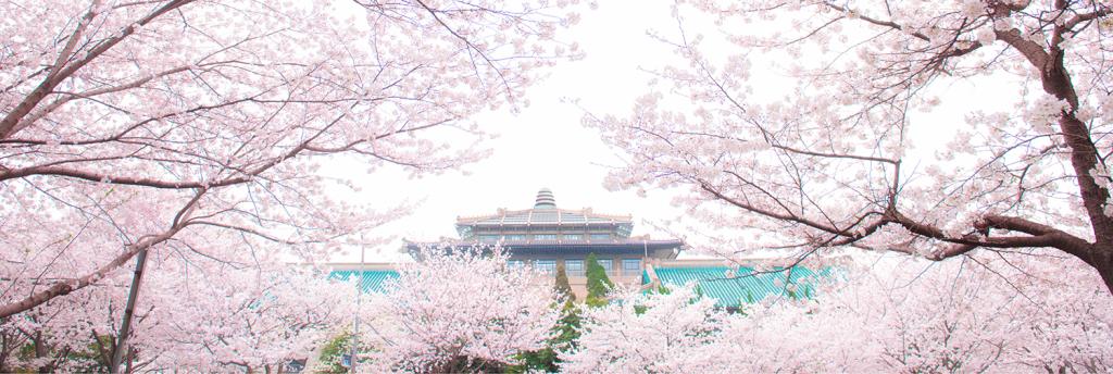 2022高考：武汉大学2021年在各省市招生最低录取分数线