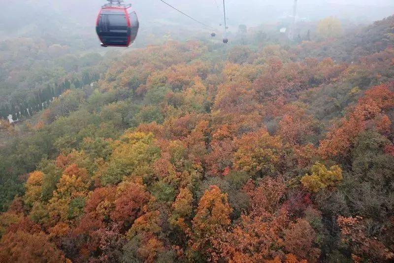 郑州这10个绝佳赏秋地，风景绝美，很多地方都还免费