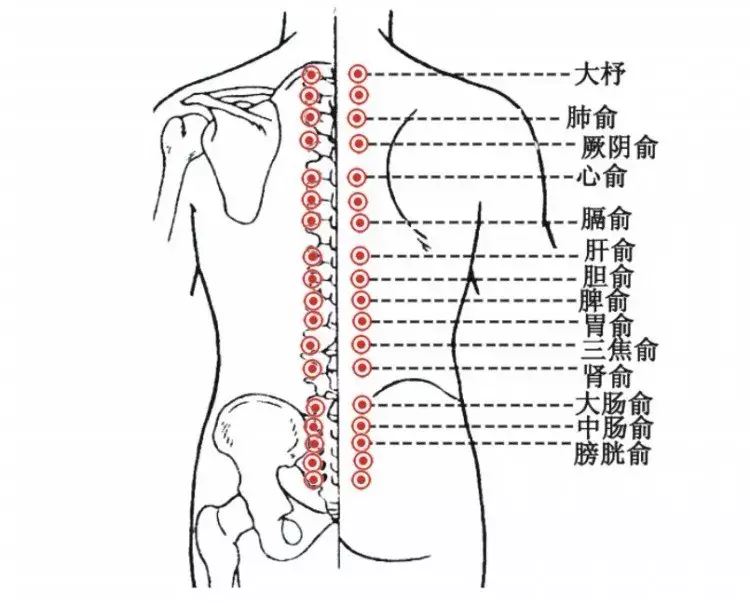 一套“养背操”，帮你强健脊背