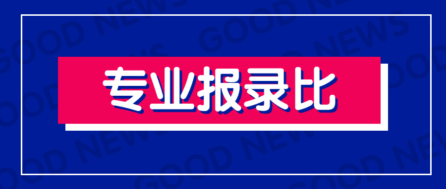 西北大学2020年各专业报录比
