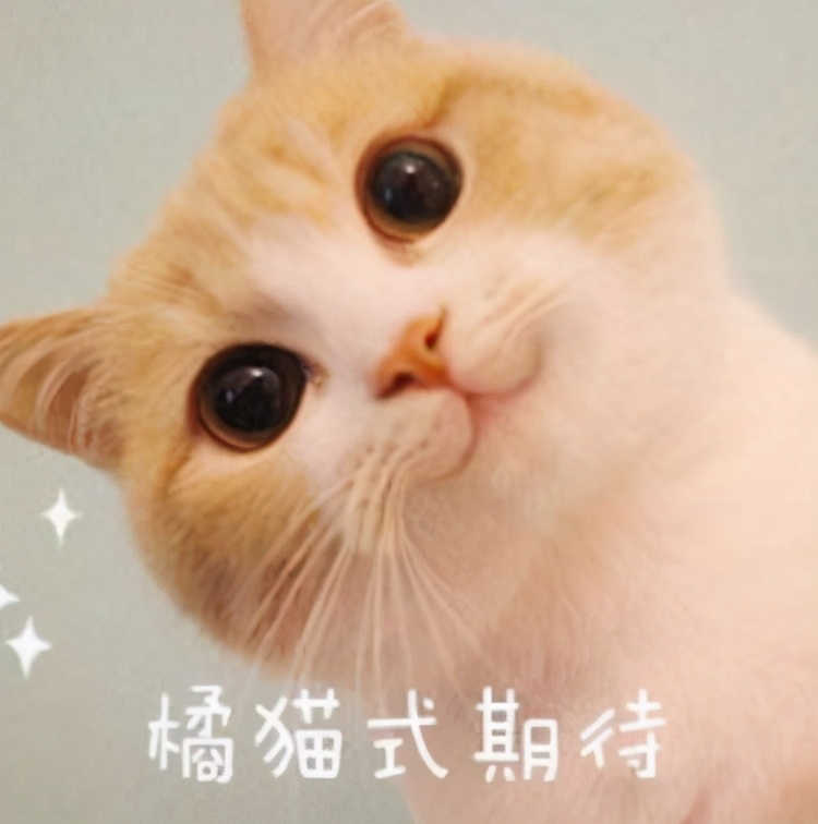 预计2023年基本建成！北京口腔医院新院区加快建设！