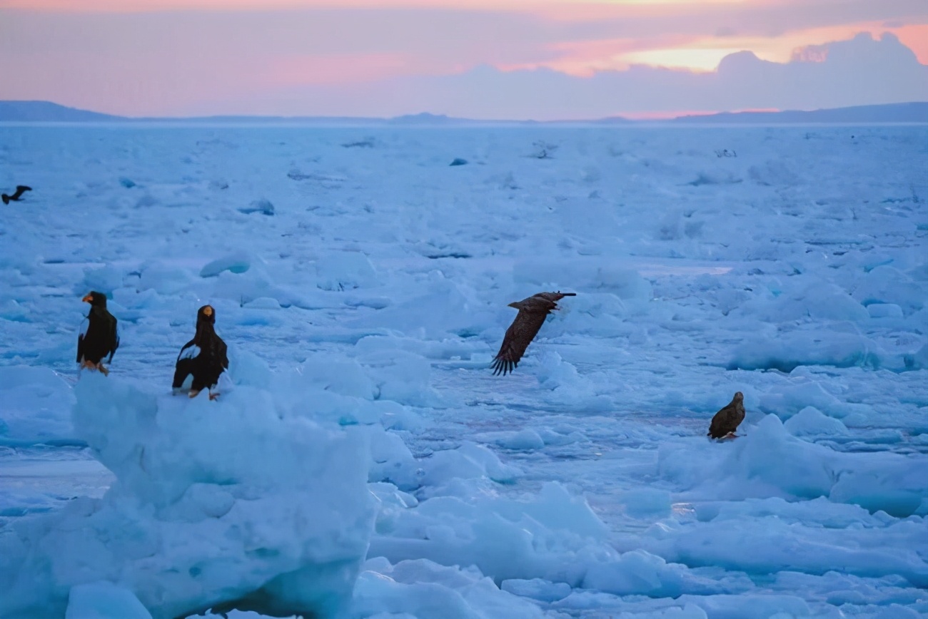 世界存在的冰山法则