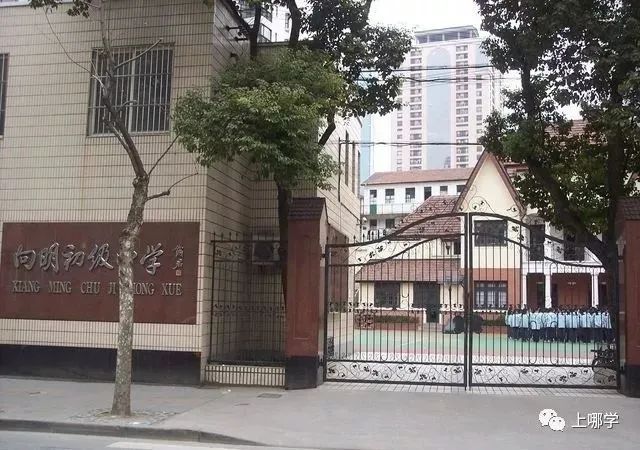 上海这个区没有超级名校，竞争小！小学不在本区读，进不了好初中