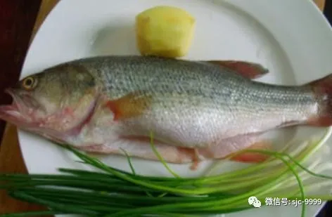 高考前，这菜再贵也要给孩子买，健脑补脑又明目，缓解学习压力