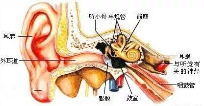 脸上这张“疾病地图”告诉你，5个地方现异常，多半是健康信号