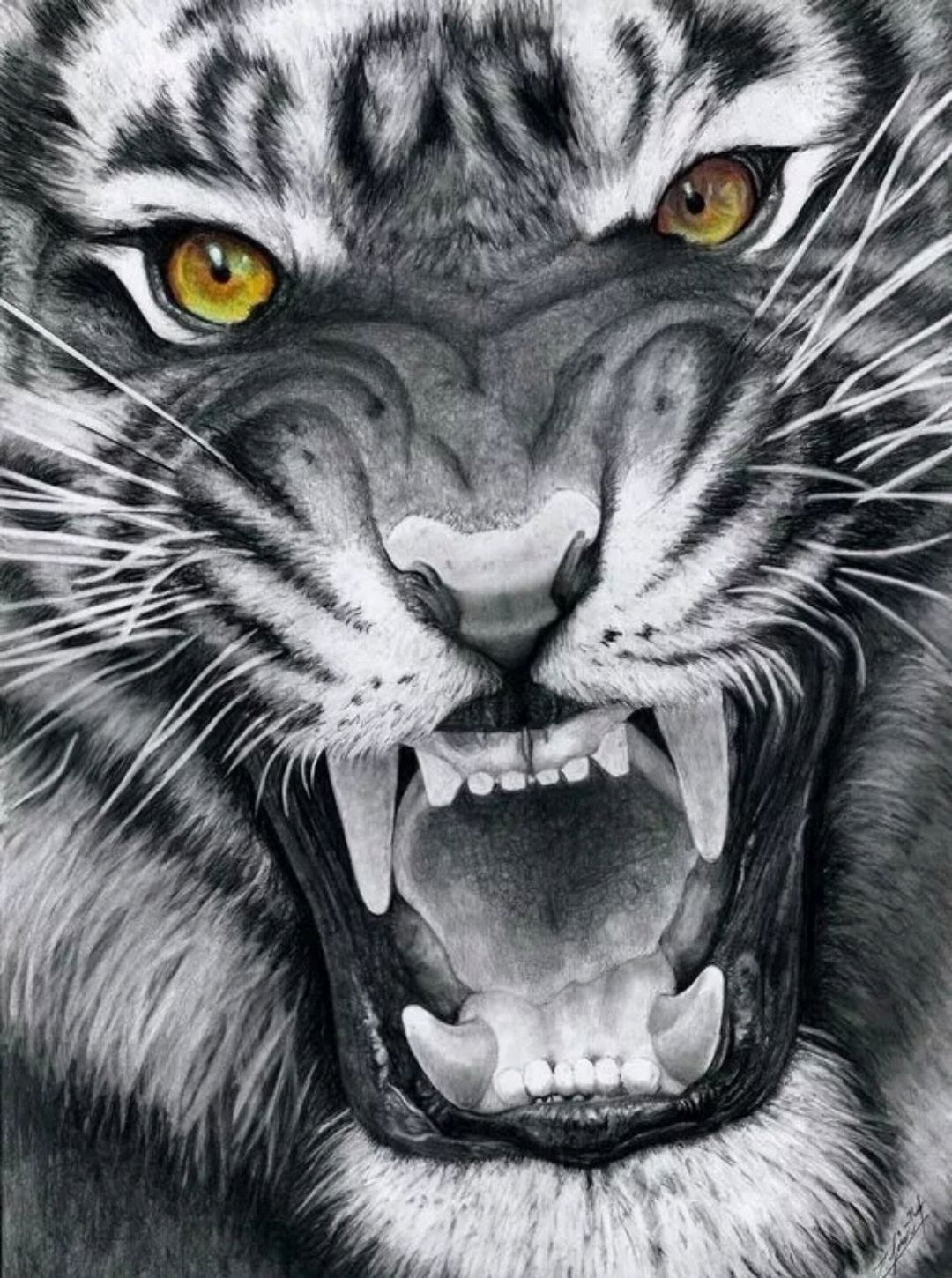 传统纹身图案寓意第十三集:虎(二)