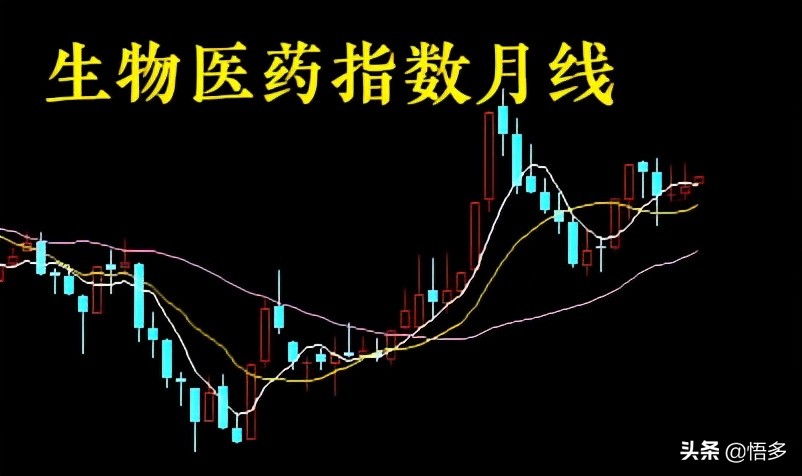 4季度，哪个板块上涨的确定性最高？医药和白酒？