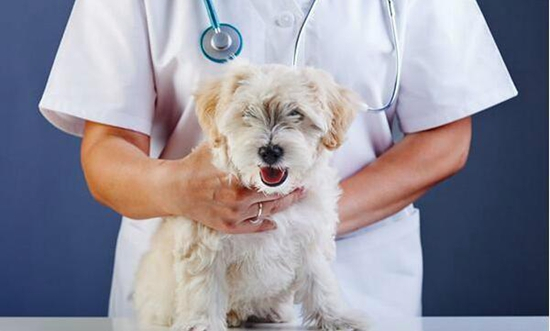 3+证书高职高考那些因为名字被“嫌弃”的专业（上）