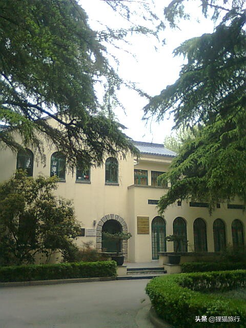 百年名校南京大学一日游，八年前的老照片带你回忆南大