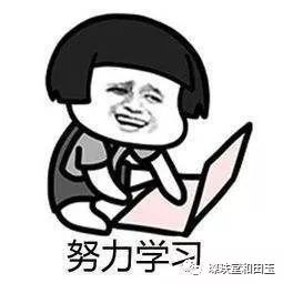 大理圀玉品牌和田玉为何价高？揭秘其稀缺性与工艺价值