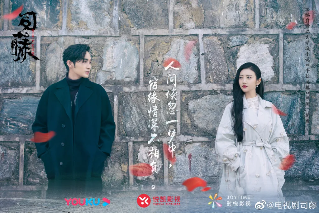 从《全世界最好的你》到《冰糖炖雪梨》，你来优酷“嗑糖”了吗？