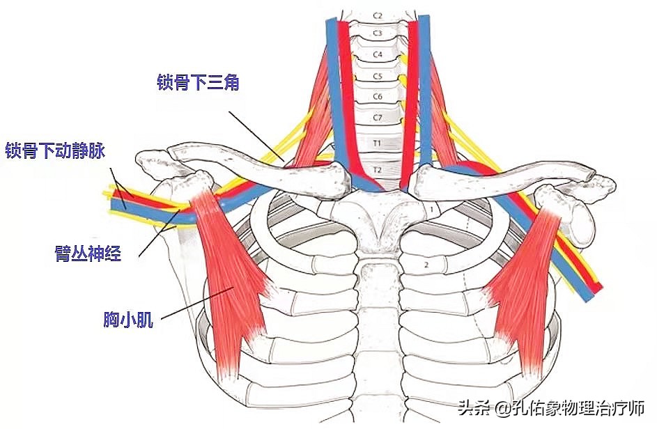 常手麻、手痛，究竟是哪里的问题？不出意外，这5种可能性最大