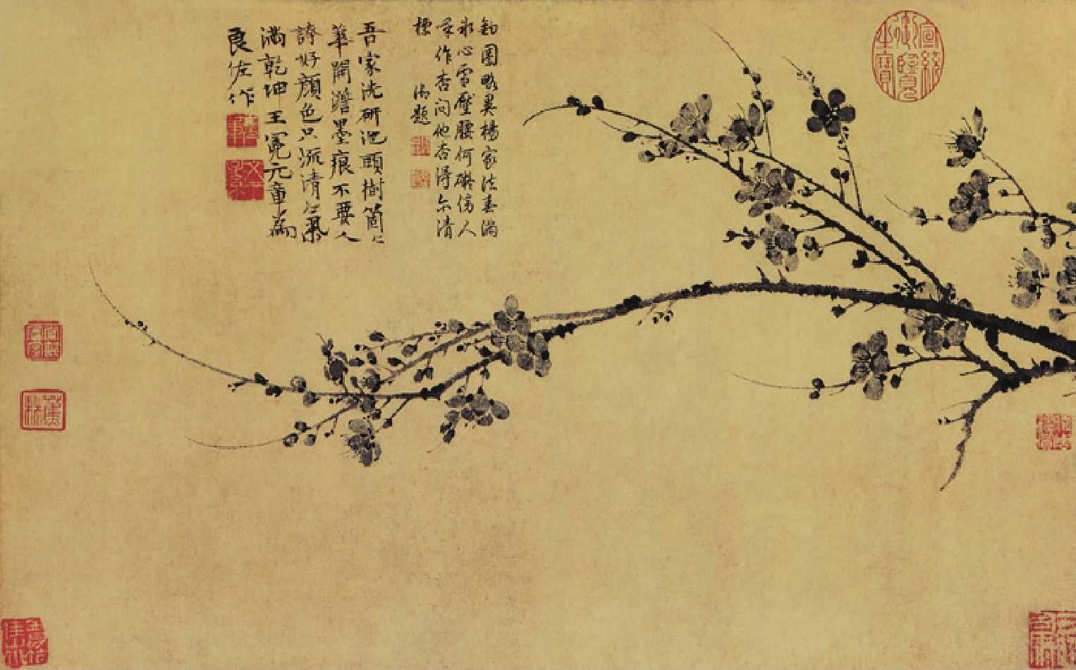 中国画入门宝典，走进中国写意画，用通俗的语句讲解中国写意画！