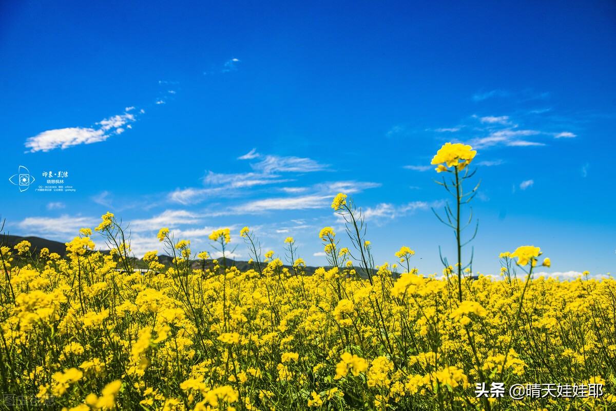 不如意时多哄哄自己；二十五个安慰送给心情不好时的你