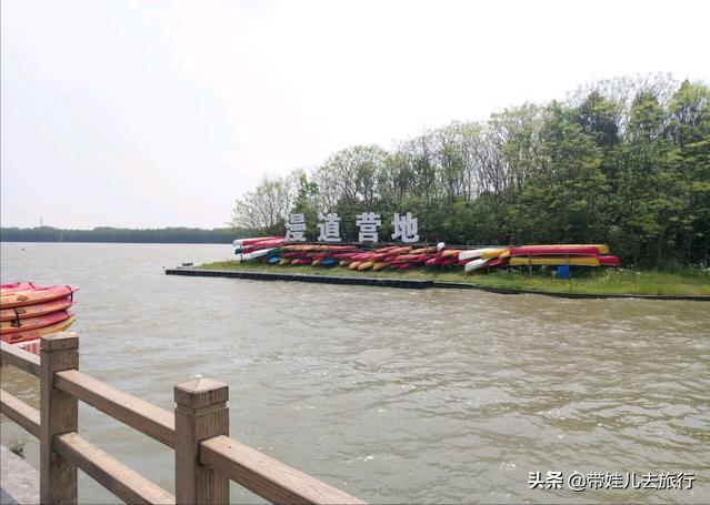 上海滨海森林公园（上海最大的国家森林公园，魔都最大的人工绿肺，来这里清凉一夏）