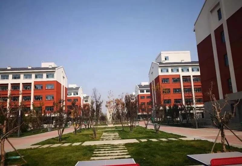 康福国际诚招中小学各科教师