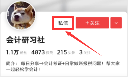 四大审计事务所、专业底稿模板（含编写方法与技巧）可修改编辑