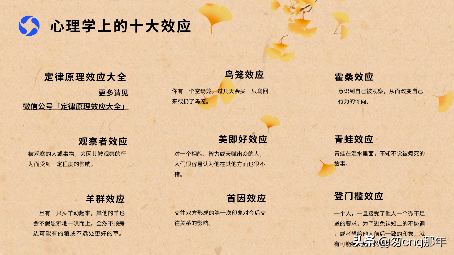 心理学十大效应：生活中的常见心理现象解析