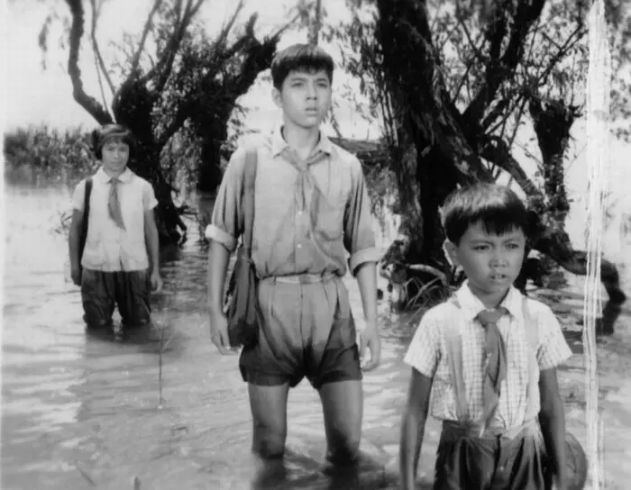 老电影（0159）《兄妹探宝》海燕电影制片厂（1963）电影剧照欣赏