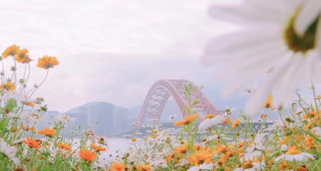 《活着》：从主角苦难的一生中得到的五个人生至理