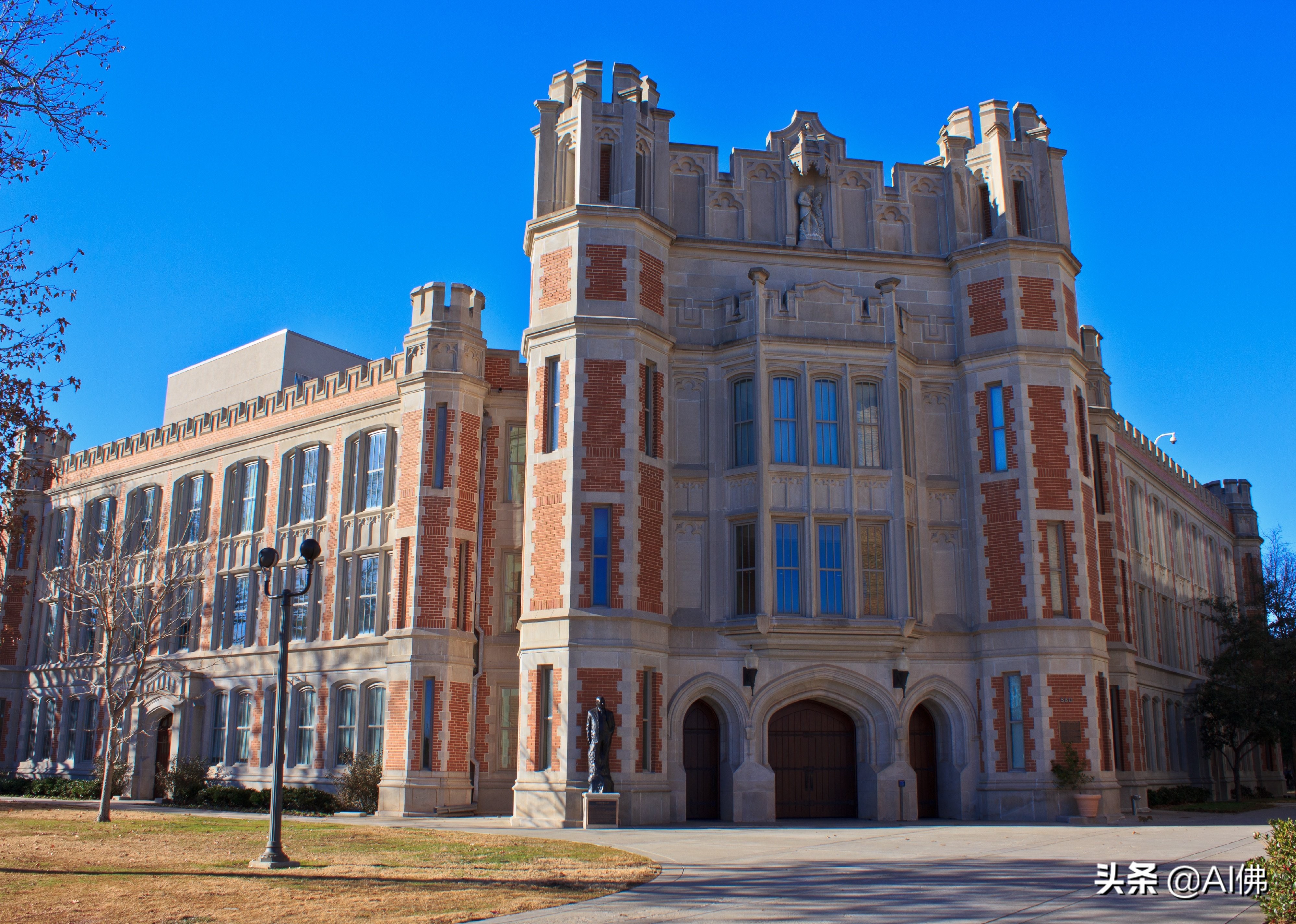 美国每个州ROI最高的公立大学