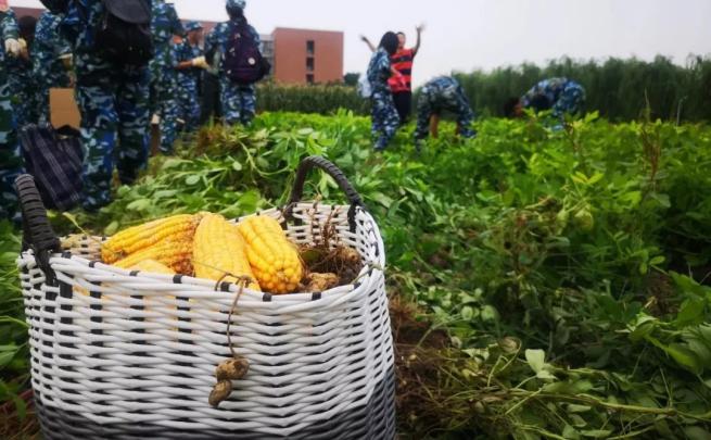 建校124年！本期推送，就是过去1年天津大学的