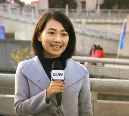 新华社记者、东方卫视主持人、凤凰卫视评论员…他们都出自上海这所高校！