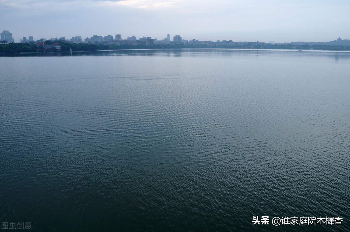 诗词里的夏天，仿佛流淌千年的清泉，沁人心脾、清凉清新