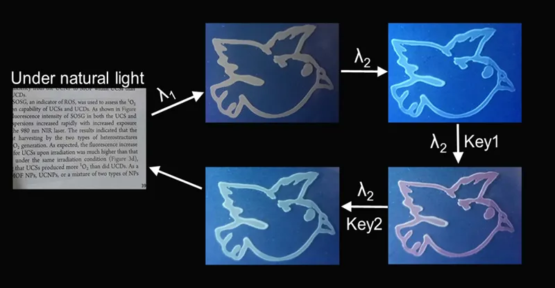 兰州大学唐瑜教授课题组近年来重要工作概览