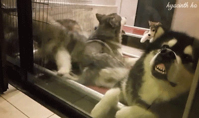 这就是做财务的你…哈哈哈哈哈