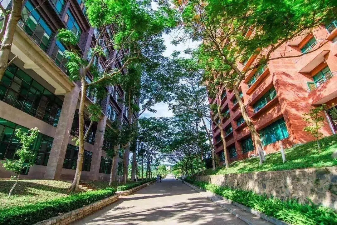 广东省华立技师学院2020年招生资讯