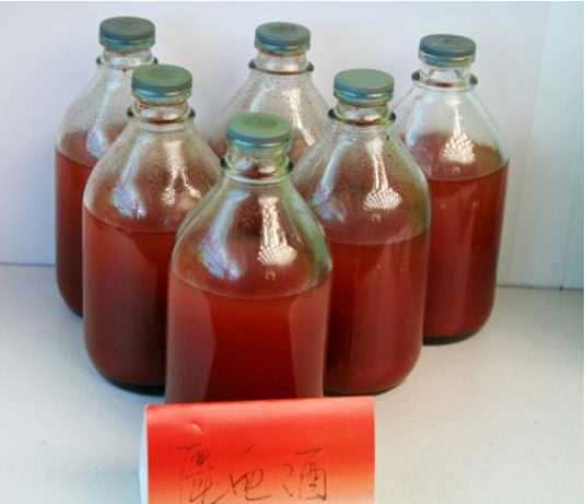 鹿血的食用方法——鹿锦天鹿产品