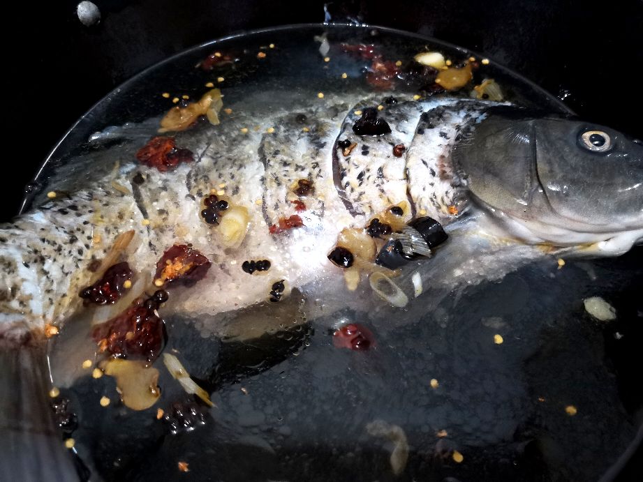 清燉鯉魚(yú)的做法,清燉鯉魚(yú)的做法和步驟視頻