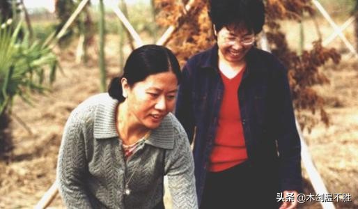 通过张爱玲和王安忆的作品，从不同角度下，看懂上海