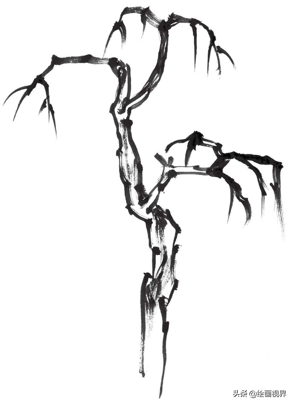 画国画树不会画？教你常见树的画法，简单易学，收藏起来临摹学习