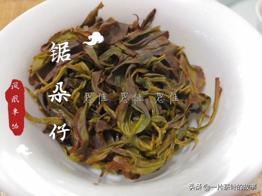 凤凰单丛茶是属于什么茶（一分钟全方位了解凤凰单丛）