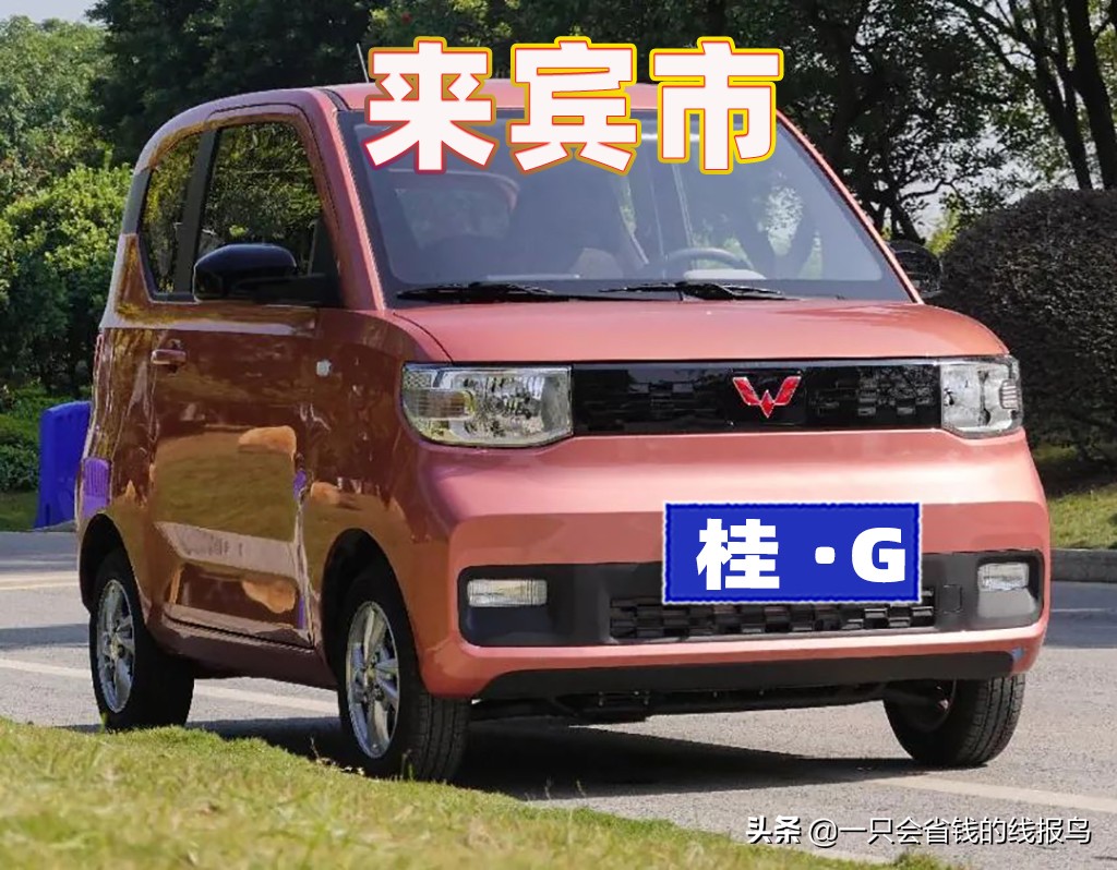 å¹¿è¥¿å£®æ—�è‡ªæ²»åŒºæ±½è½¦ç‰Œç…§å&shy;—æ¯�æ�’åº�