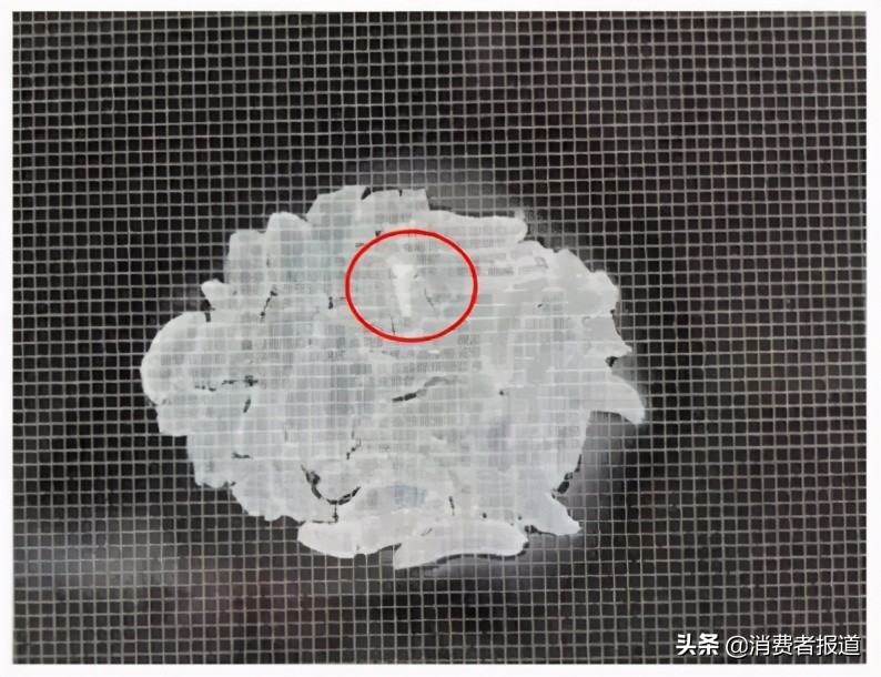 12款电热饭盒测评：美的、小熊、志高加热效果好，两款出现“夹生饭”