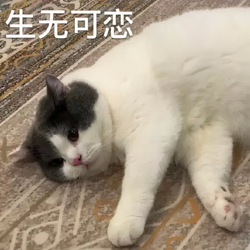 天呐，我究竟是为啥要学俄语啊