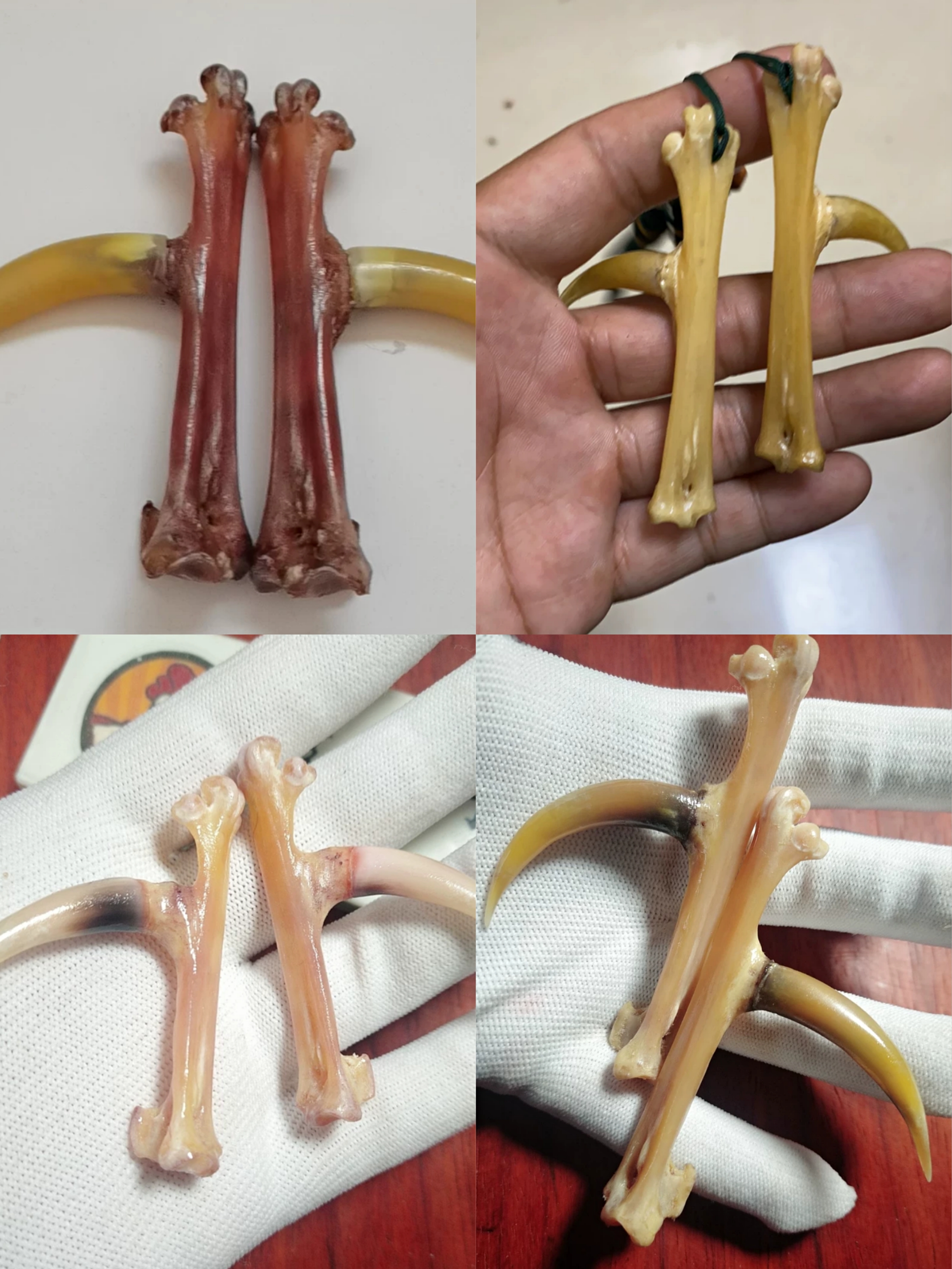 青鱼石吊坠图片(这类文玩是用来扩大脑洞的吗) - 赤虎壹号