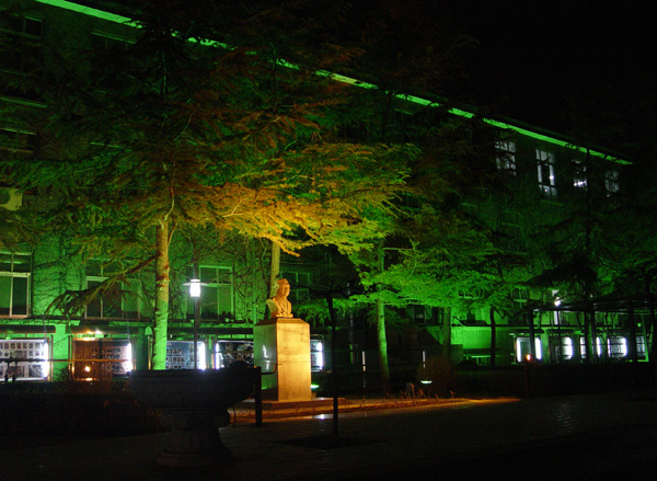 中央戏剧学院美术艺考生校考第25名，文化成绩多少能被录取？