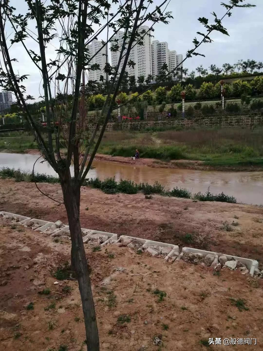 般德团建丨放下手机，放肆游戏，发现身边的乐趣