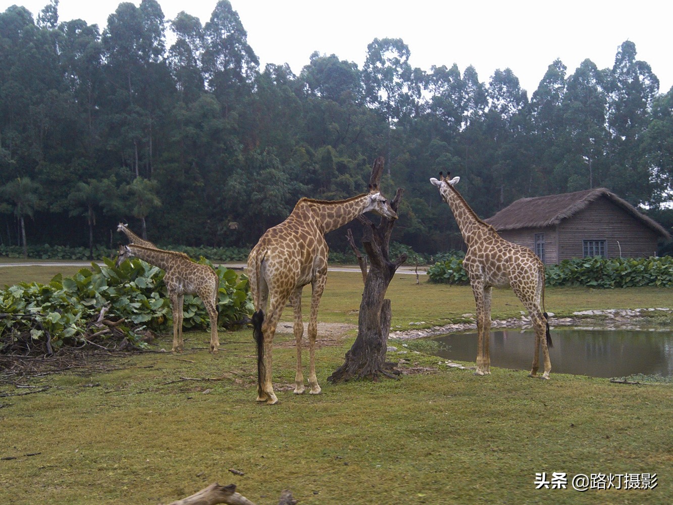 适合旅游的城市（盘点中国零差评的3座旅游城市）