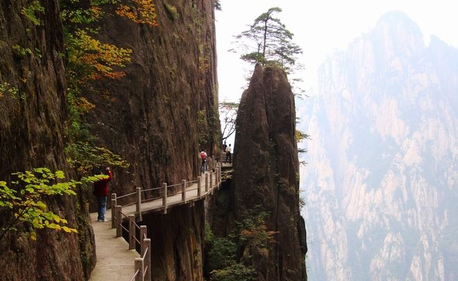 成语“政通人和”中，“通”字的准确含义是什么？