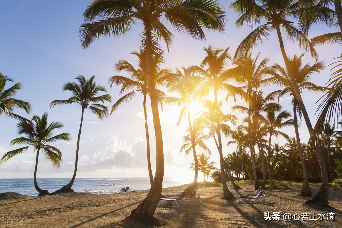 一年四季怎么分（一年四季怎么划分月份：春夏秋冬如何形成？）